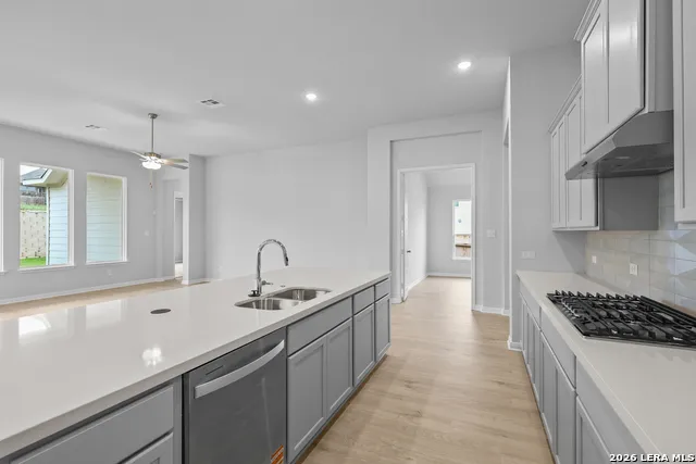 2503 Tortuga Verde San Antonio, TX 78245