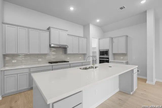 2503 Tortuga Verde San Antonio, TX 78245