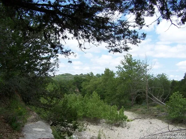 394 Squirrel Bend Reagan Wells, TX 78801