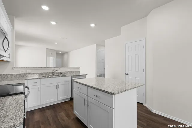2989 WHITE SAGE VW New Braunfels, TX 78130