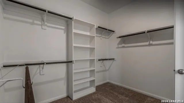 6458 Comanche Moon Blank San Antonio, TX 78233