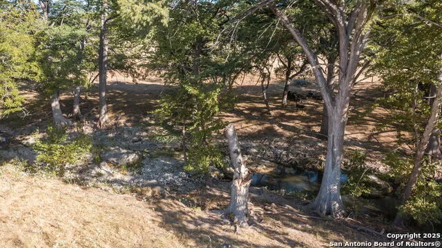 LOT 69 Sabinas Springs Rd Boerne, TX 78006