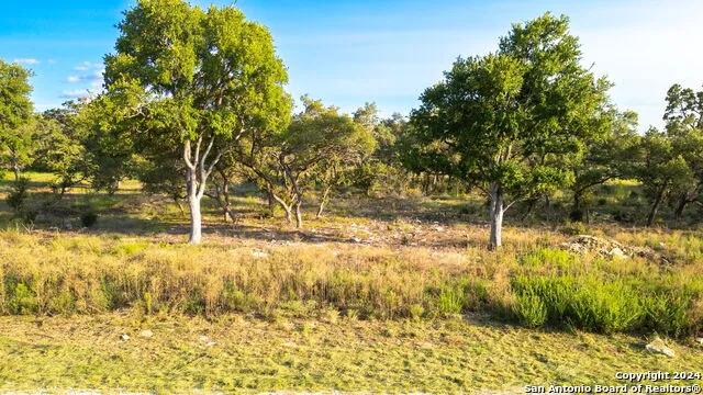 711 Blaze Ridge Bulverde, TX 78163