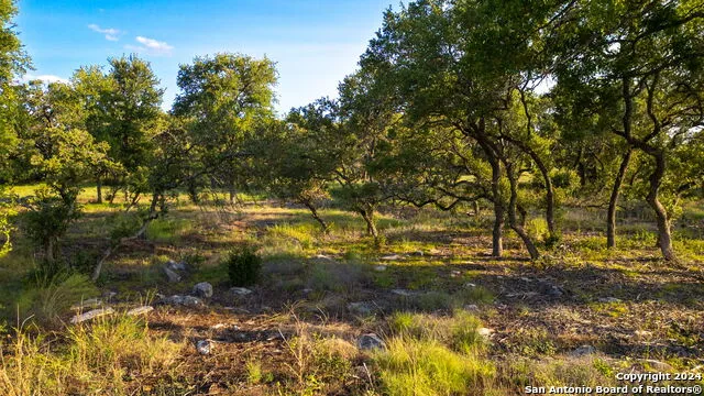 711 Blaze Ridge Bulverde, TX 78163