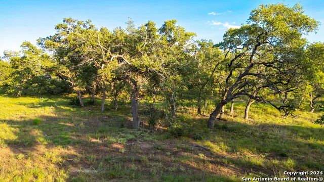 711 Blaze Ridge Bulverde, TX 78163
