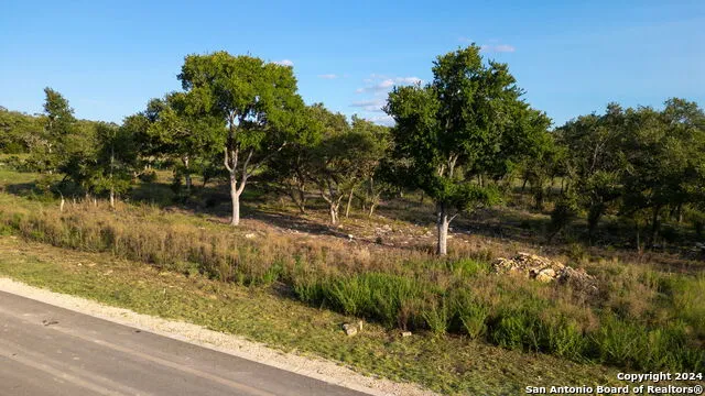 711 Blaze Ridge Bulverde, TX 78163