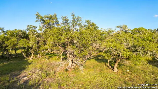 711 Blaze Ridge Bulverde, TX 78163