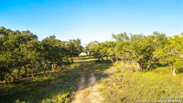 711 Blaze Ridge Bulverde, TX 78163