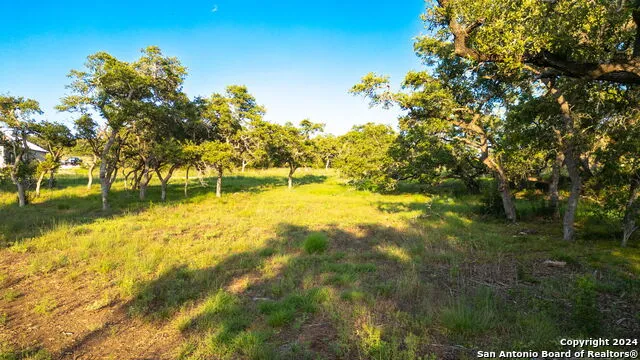 711 Blaze Ridge Bulverde, TX 78163