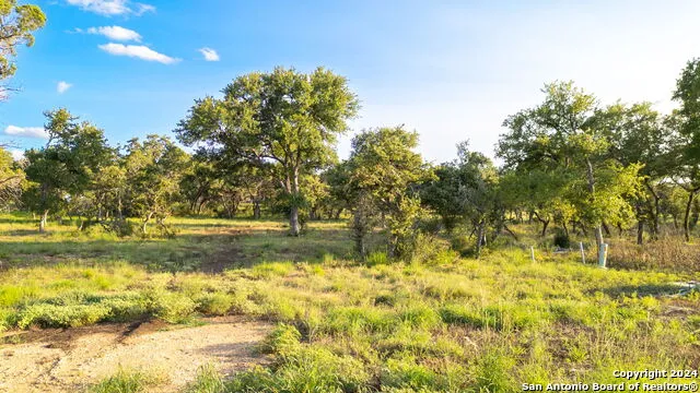 711 Blaze Ridge Bulverde, TX 78163