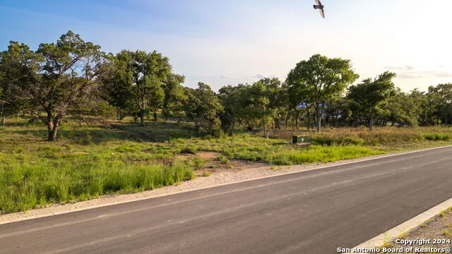 711 Blaze Ridge Bulverde, TX 78163