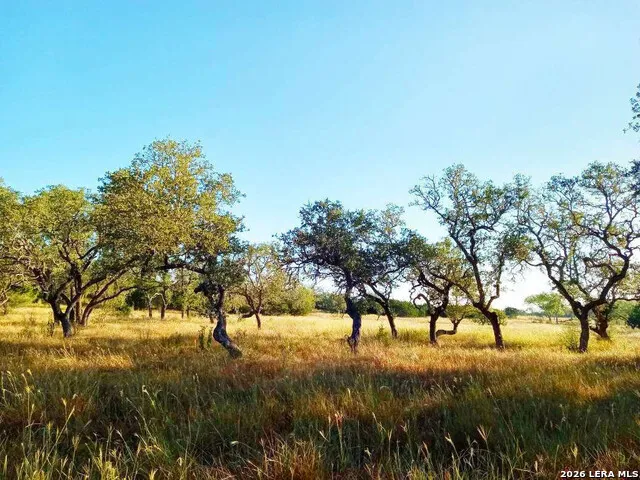 246 Mulder DR Center Point, TX 78010