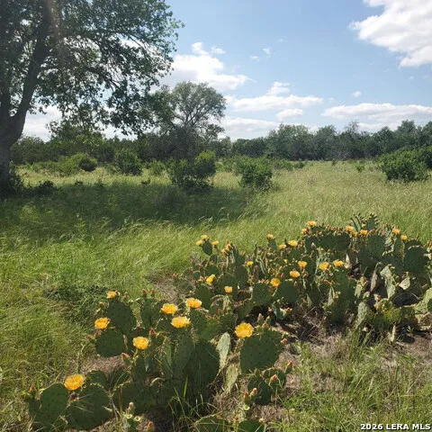 246 Mulder DR Center Point, TX 78010