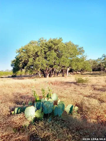 246 Mulder DR Center Point, TX 78010