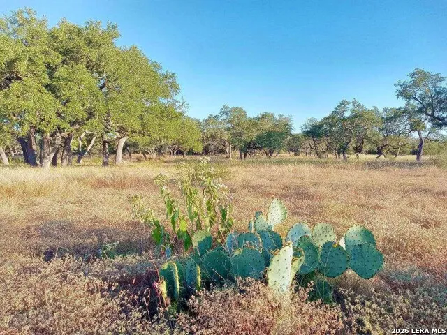 246 Mulder DR Center Point, TX 78010