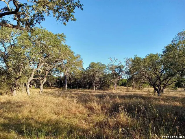 246 Mulder DR Center Point, TX 78010