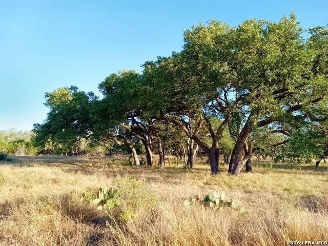 246 Mulder DR Center Point, TX 78010