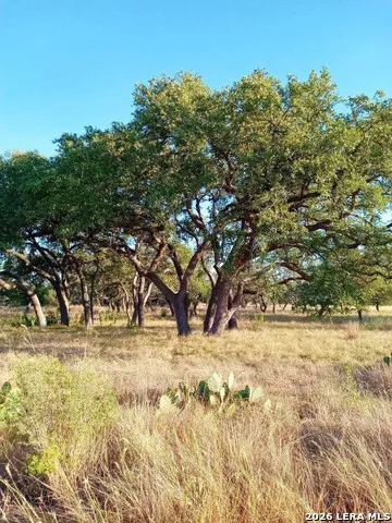 246 Mulder DR Center Point, TX 78010