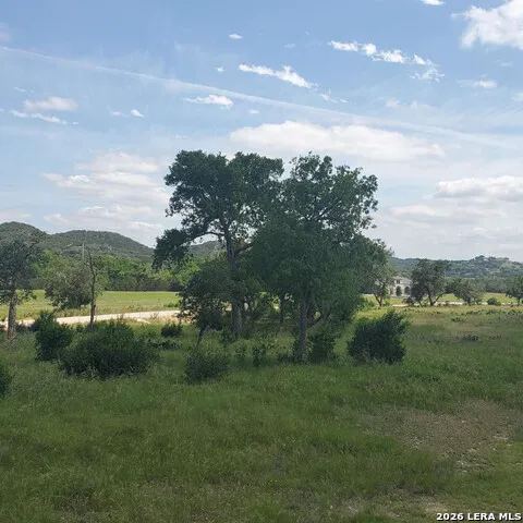 246 Mulder DR Center Point, TX 78010