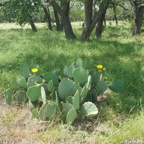 246 Mulder DR Center Point, TX 78010