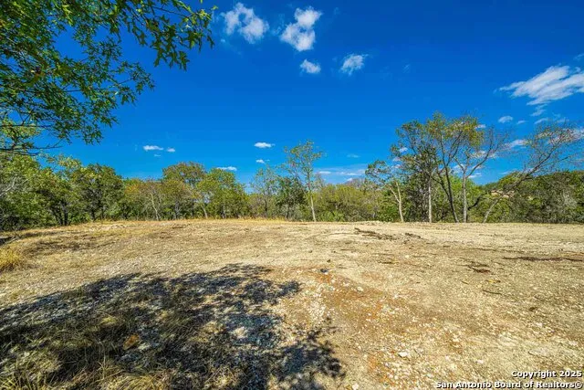 105A Oleander Comfort, TX 78013
