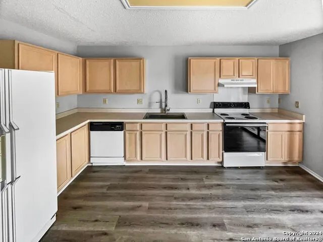 9731 Bronson Creek San Antonio, TX 78251
