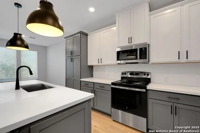 13651 GIOVANNIS GDN San Antonio, TX 78253