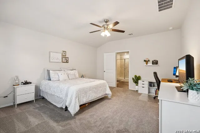1242 Yellow Warbler San Antonio, TX 78253