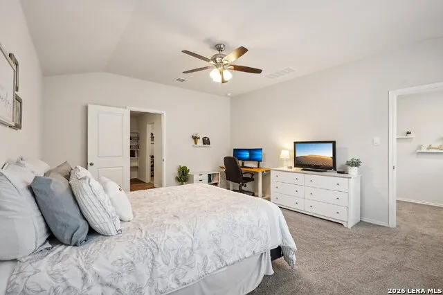 1242 Yellow Warbler San Antonio, TX 78253