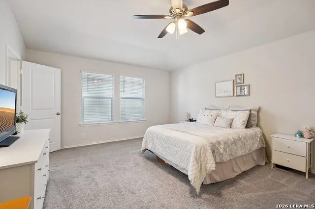 1242 Yellow Warbler San Antonio, TX 78253