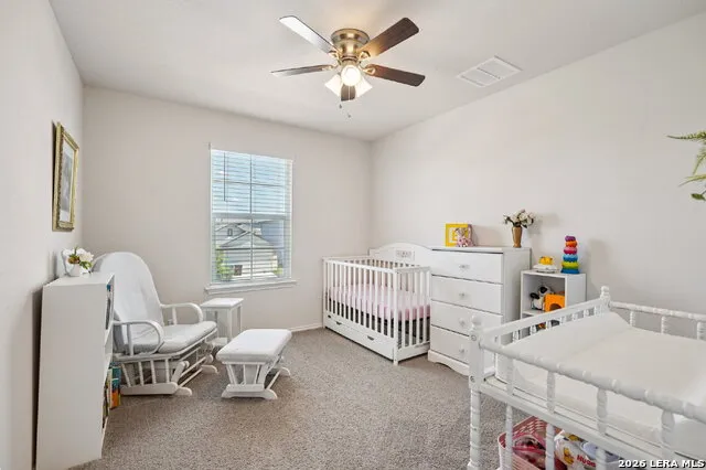 1242 Yellow Warbler San Antonio, TX 78253