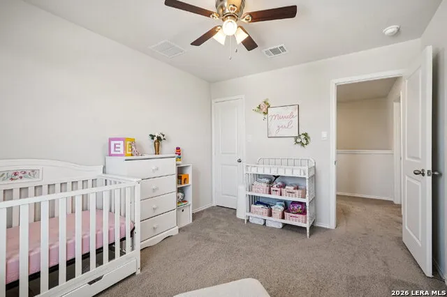 1242 Yellow Warbler San Antonio, TX 78253