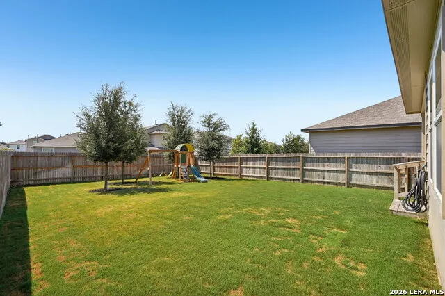 1242 Yellow Warbler San Antonio, TX 78253