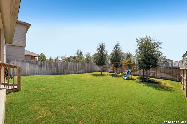 1242 Yellow Warbler San Antonio, TX 78253