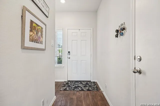 1242 Yellow Warbler San Antonio, TX 78253