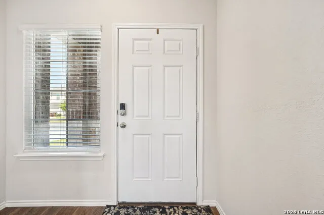 1242 Yellow Warbler San Antonio, TX 78253