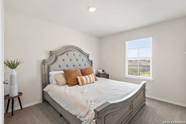 20523 LORENA XING San Antonio, TX 78264