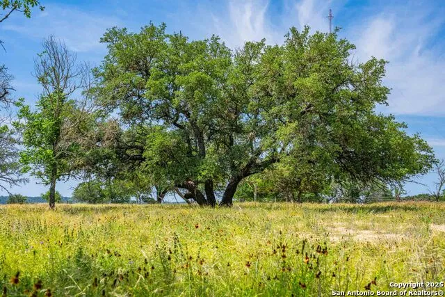 505 FM 473 Comfort, TX 78013