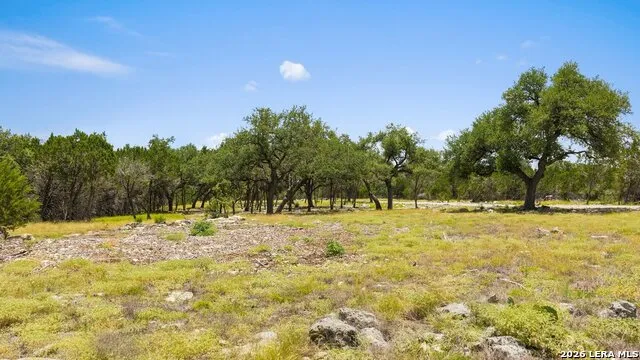 TRACT 5 Cypress Cove Spring Branch, TX 78070
