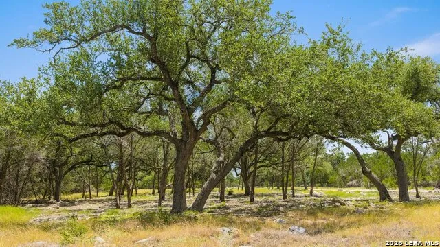 TRACT 5 Cypress Cove Spring Branch, TX 78070