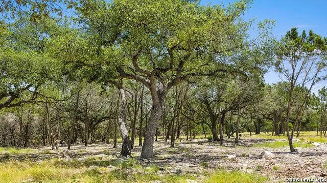 TRACT 5 Cypress Cove Spring Branch, TX 78070