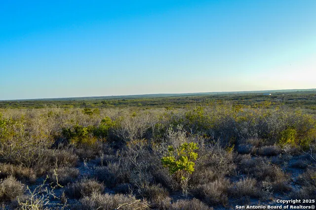 TBD Live Oak Spur George West, TX 78022