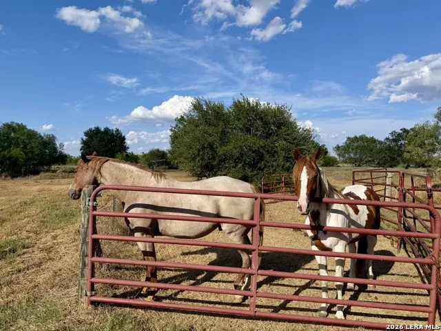 2710 State Highway 80 Nixon, TX 78140