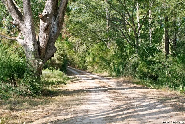 322 Mooney Road Bastrop, TX 78602