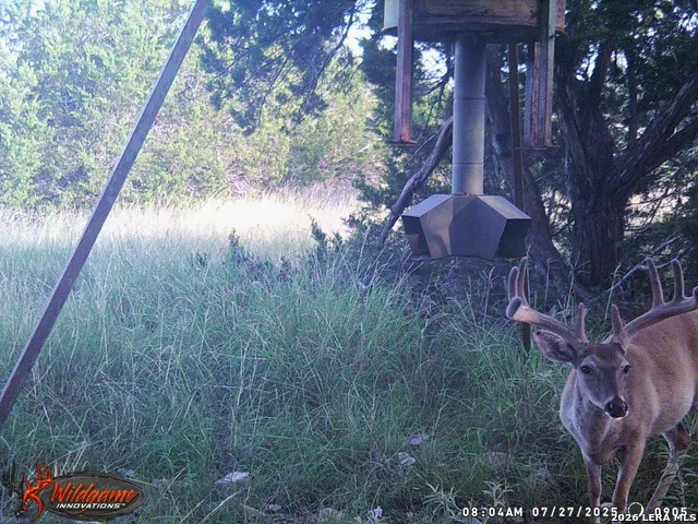 3527 stapp ranch Junction, TX 76849