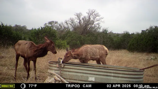 11695 COUNTY ROAD 350 Barksdale, TX 78828