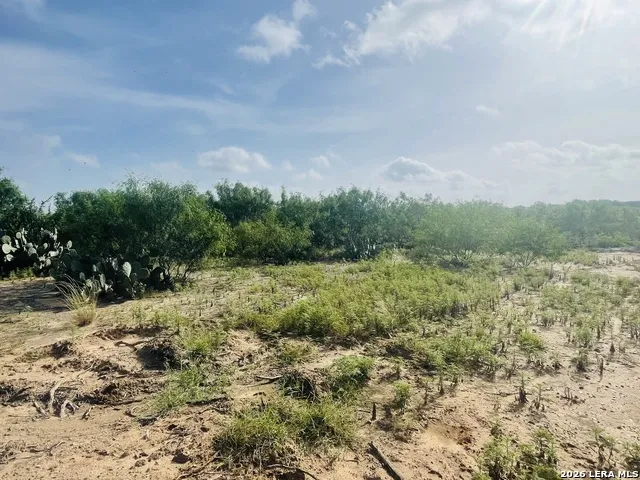 141 County Road 779 Devine, TX 78016