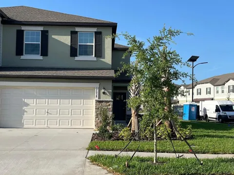 32038 POWDERPUFF MIMOSA DRIVE
