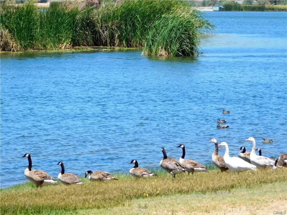 40303 Brook Trails Way Aguanga, CA 92536