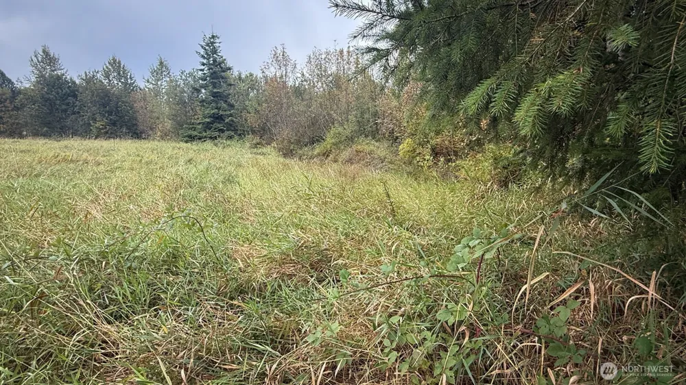 117 Chinook Lane Onalaska, WA 98570